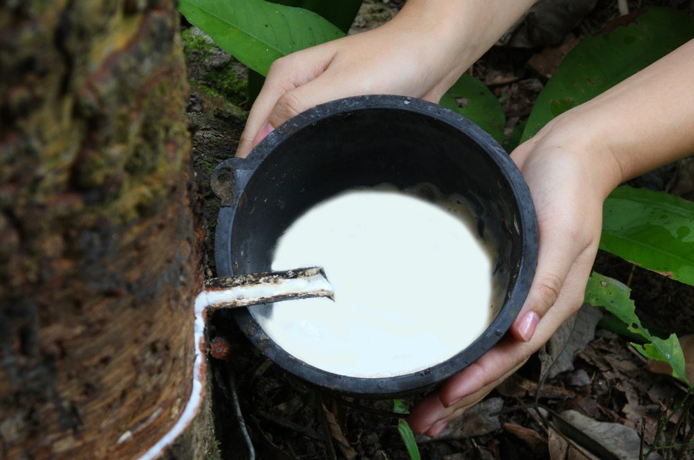 латексний клей