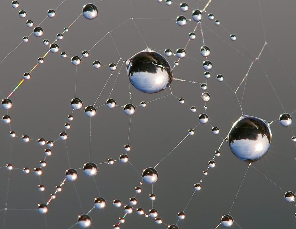 Що таке адгезія та можливі проблеми з нею